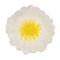 Assiette fleur en grès Blanc