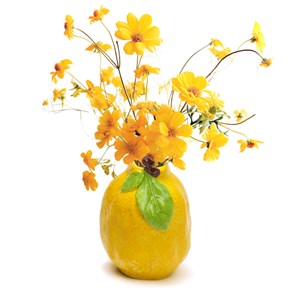 Vase citron