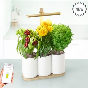 Lilo Edition potager connecté