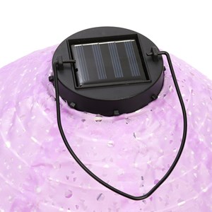 Lampion solaire violet