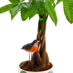 Oiseau détecteur d'arrosage