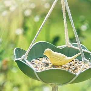 Abreuvoir et mangeoire pour oiseaux