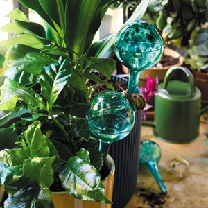 Trio bulles d'arrosage