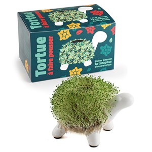 Kit de culture cresson tortue