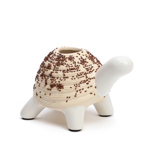 Kit de culture cresson tortue