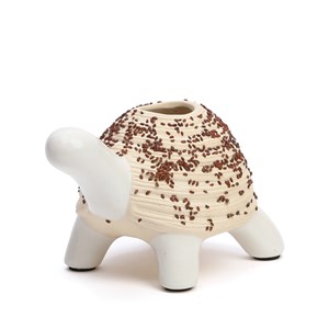 Kit de culture cresson tortue