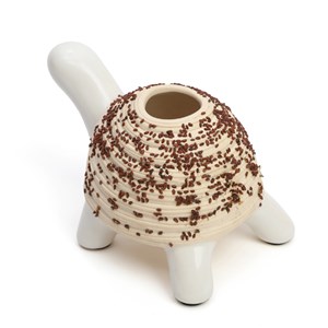 Kit de culture cresson tortue