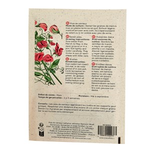 Pois de senteur à faire pousser