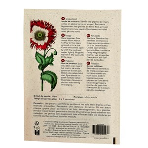 Coquelicot à faire pousser