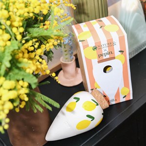 Olla en céramique citrons Pépin