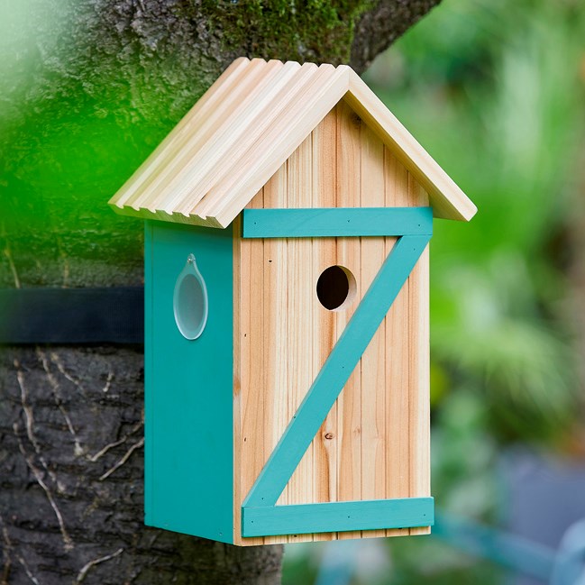 Nichoir caméra en bois