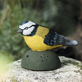 Oiseau chantant détecteur mouvement