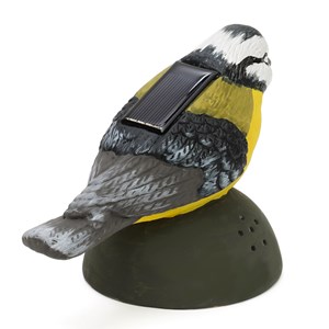 Oiseau chantant détecteur mouvement