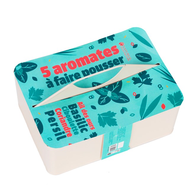 5 aromates bio à faire pousser