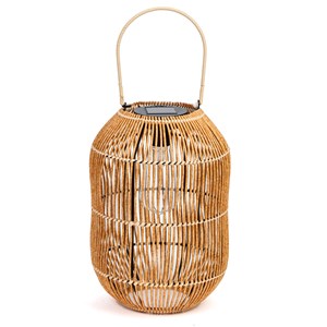 Ampoule pour 50182050