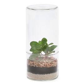 Petit terrarium Green Tower