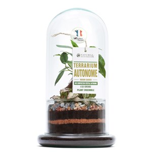 Moyen terrarium Spicy