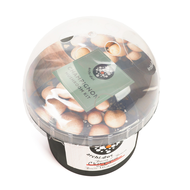 Kit Culture Champignons Intelligent Avec Tente - Contrôle Température/Humidité | Autonome, USB, Pour Shiitake Et Autres