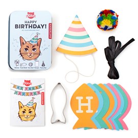 Kit anniversaire pour chat