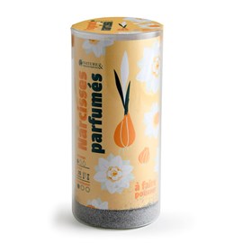 Kit narcisses parfumés à faire pousser