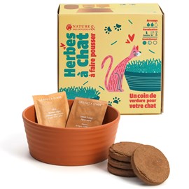 Kit herbe à chat à faire pousser