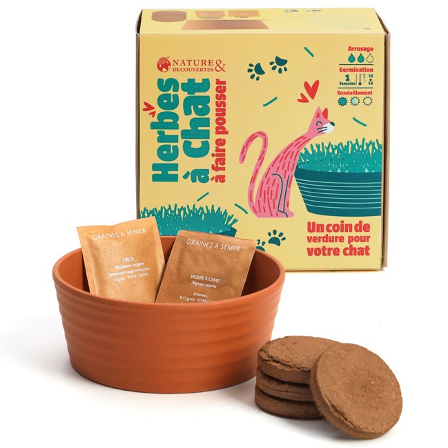 Kit herbe à chat à faire pousser