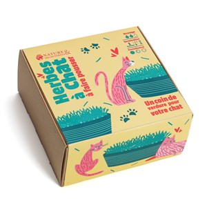 Kit herbe à chat à faire pousser