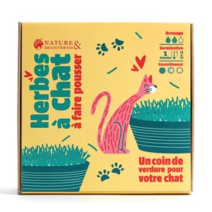 Kit herbe à chat à faire pousser