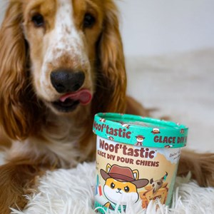 Kit glace au poulet pour chien