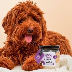 Pupcake pour chiot à cuisiner