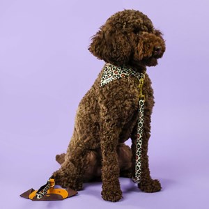 Bandana pour chien L Léopard