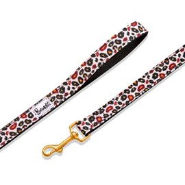 Laisse pour chien ou chat