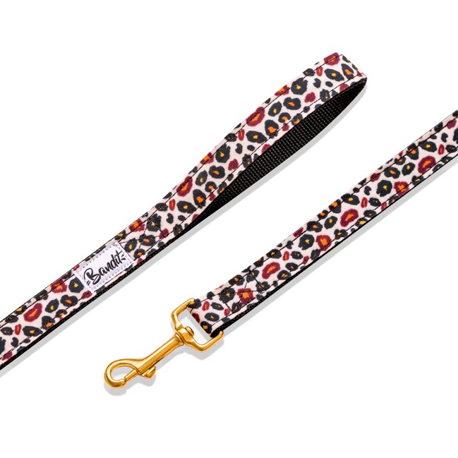 Laisse pour chien ou chat