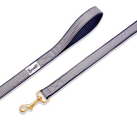 Laisse pour chien ou chat