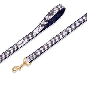 Laisse pour chien ou chat Bleu