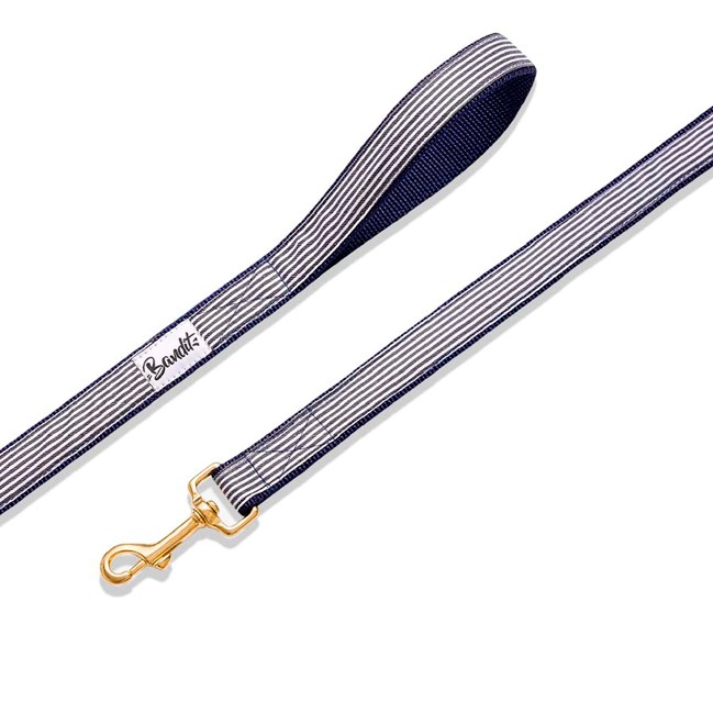 Laisse pour chien ou chat