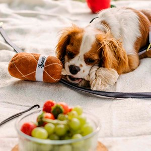 Jouet pour chien saucisson