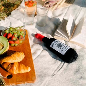 Jouet pour chien bouteille