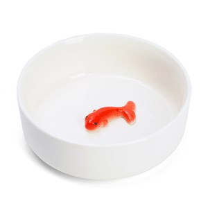 Gamelle leurre poisson