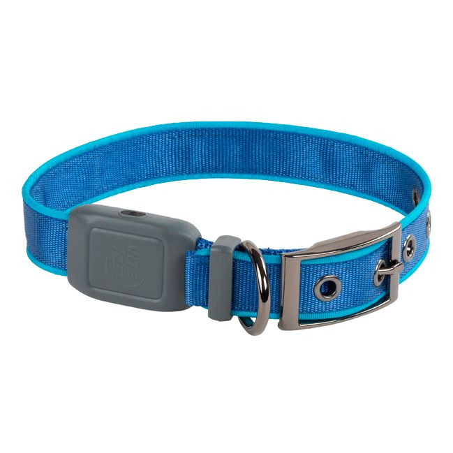 Collier Lumineux Chien, Collier Chien Led Rechargeable Et Etanche Clignotant Collier Fluorescent