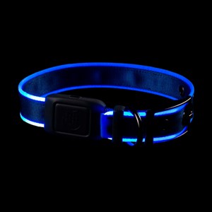 Collier pour chien lumineux rechargeable