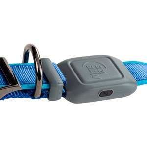 Collier pour chien lumineux rechargeable