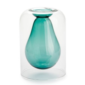 Vase de germination avocat