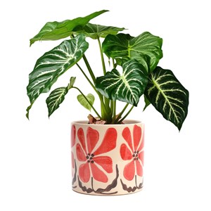 Cache-pot en céramique fleurs rouge 17 cm