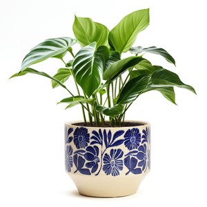 Cache-pot en céramique fleurs bleu 16 cm