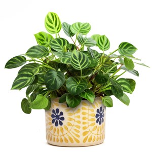 Cache-pot en céramique fleurs jaune 11 cm