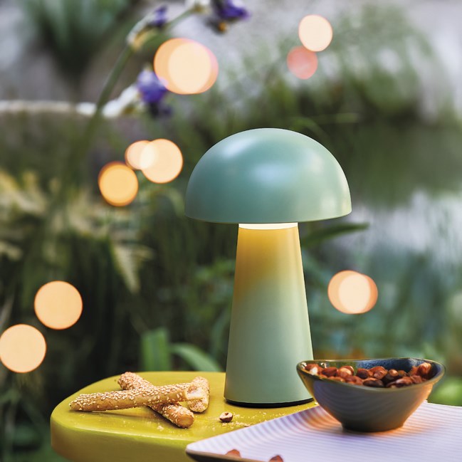 Lampe rechargeable verte