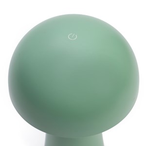 Lampe rechargeable verte