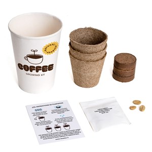 Kit trio de café à faire pousser