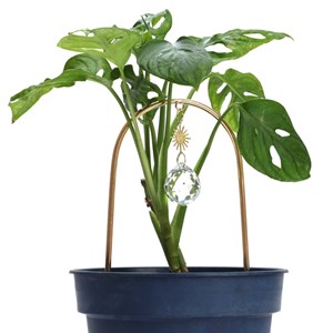 Tuteur pour plantes suncatcher